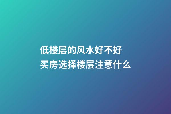 低楼层的风水好不好 买房选择楼层注意什么
